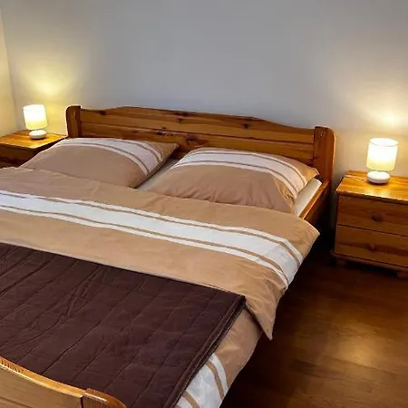 Nad Grajcarkiem Pieniny Apartament