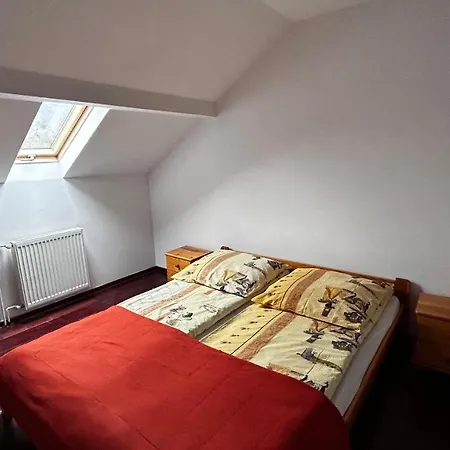 Nad Grajcarkiem Pieniny Apartament Szczawnica