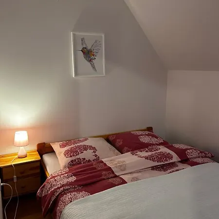 Nad Grajcarkiem Pieniny Apartament